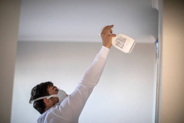 Best Mold Cleaning Services  in Churchville, PA