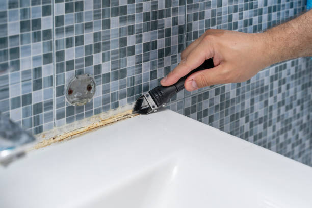 Best Mold Remediation  in Churchville, PA