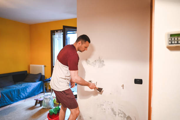 Best Crawl Space Mold Removal  in Churchville, PA